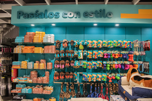 Vida de perro Panamá