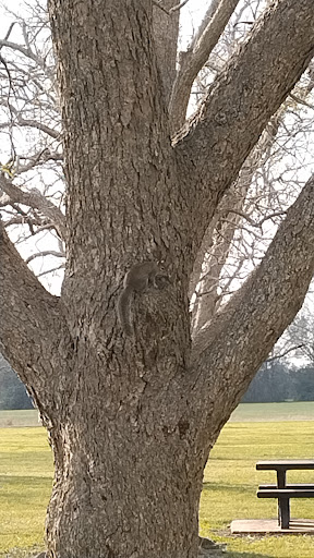 Angleton Bates Park - Thumbnail