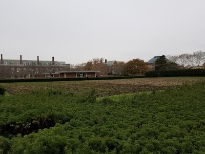 Morrow Plots