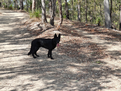 Chermside Hills Reserve - Thumbnail