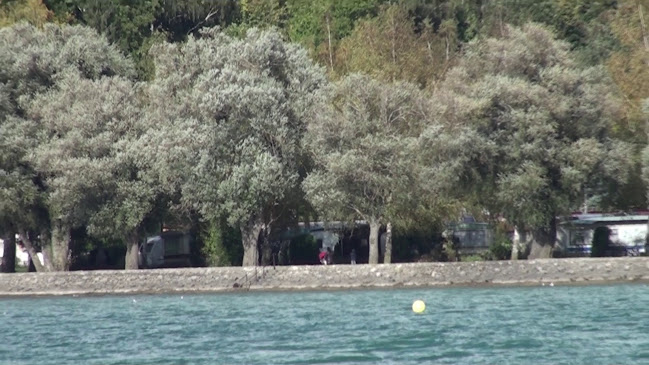 TCS Camping La Tène lac de Neuchâtel Öffnungszeiten