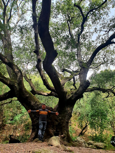 Monte Arci, area picnic Sa Miza de sa Figu