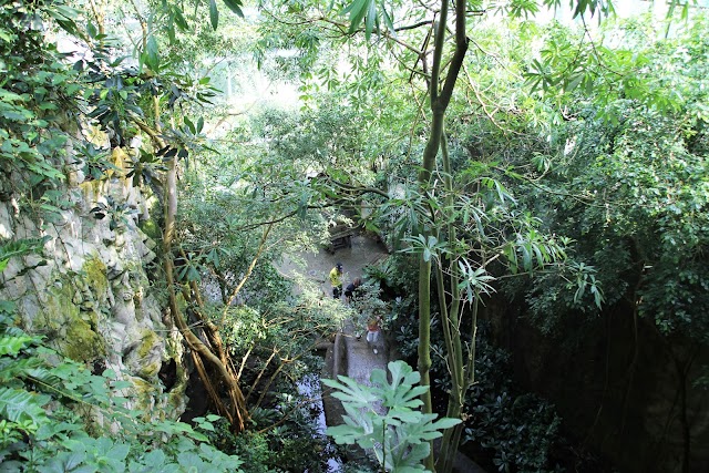 Rainforest House