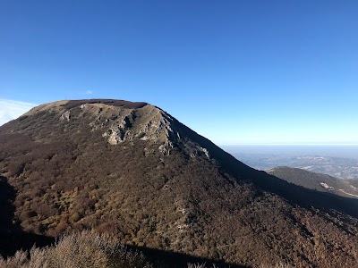 Monte Faldobono