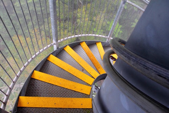 Illawarra Fly Treetop Walk
