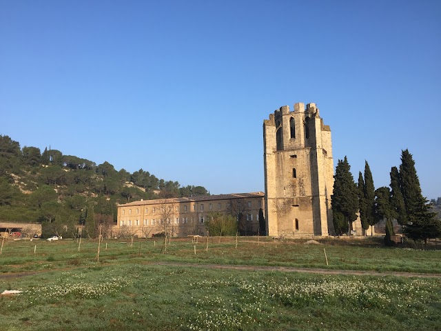 Abbaye Sainte-Marie