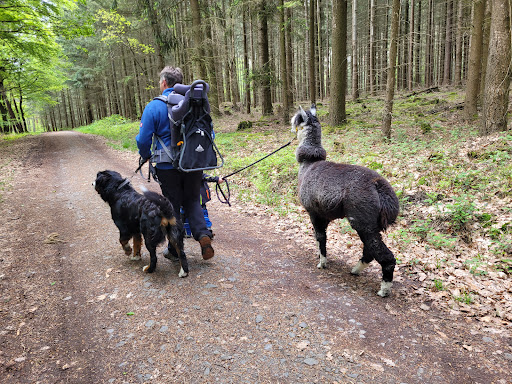 Spessart Blick - Thumbnail