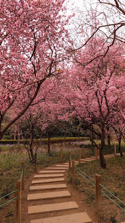 Photos of Zhengzhou People's Park