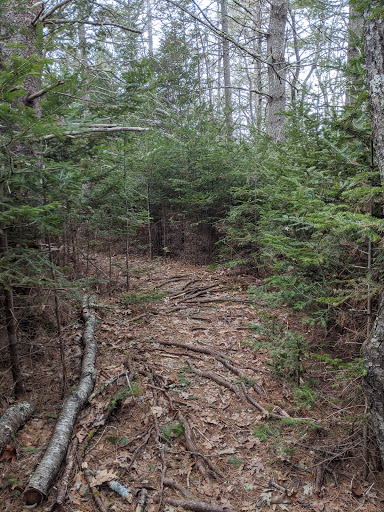 Snow Natural Area - Blue Hill Heritage Trust - Thumbnail