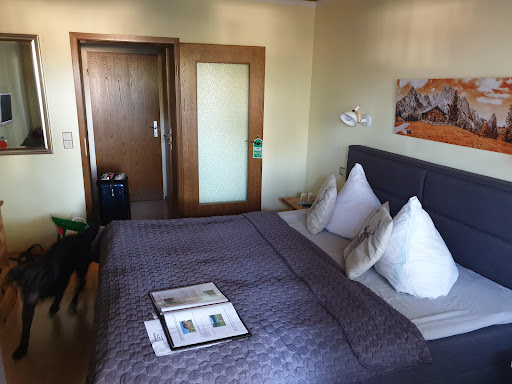 Almhostel - Visual