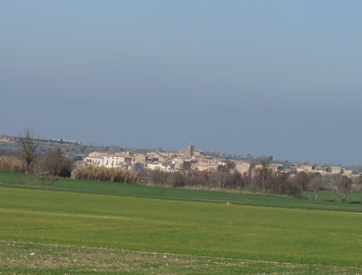 Sant Salvador de Tarroja de Segarra - Thumbnail