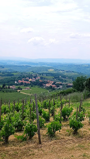 Monti In Chianti - Thumbnail