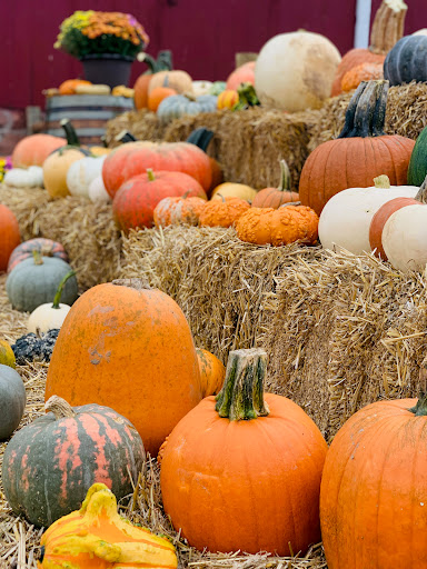 The Blast Corn Maze - Thumbnail