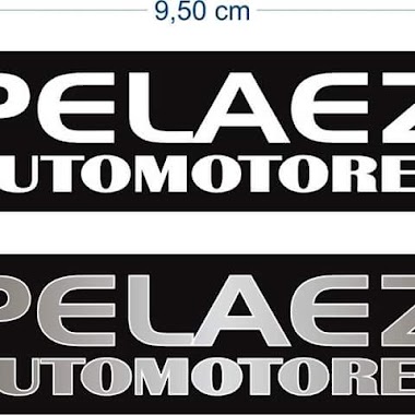 Peláez Lubricentro, Author: Ivan Pelaez