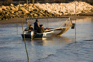 Photo n°28 de La Remise à Bateaux à Saint-Vivien-de-Médoc (Gîte)