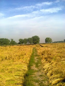 Qasba Maral Bus Stop multan