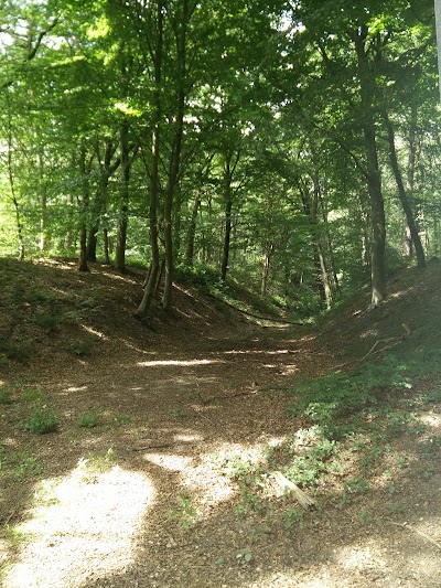 Wandelplaats Bij Oriëntalis