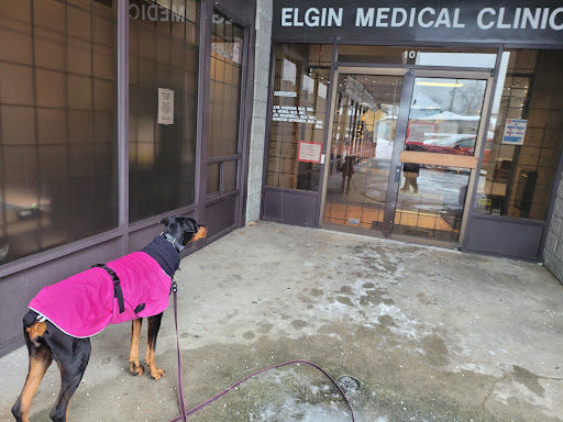 The Elgin Medical Clinic - Thumbnail