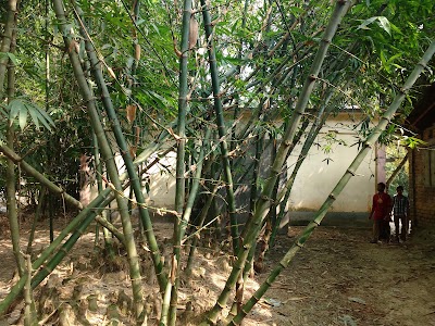 Photos of Poynari Jame Masjid