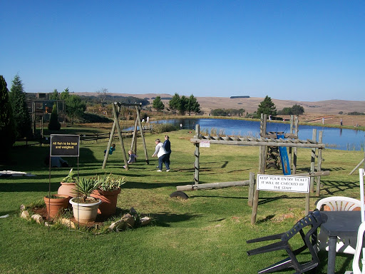 Highlight: Dullstroom Bird of Prey Centre