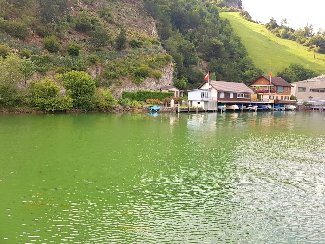 Lake Lucerne