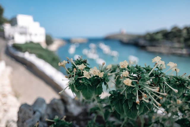 Cala Alcaufar
