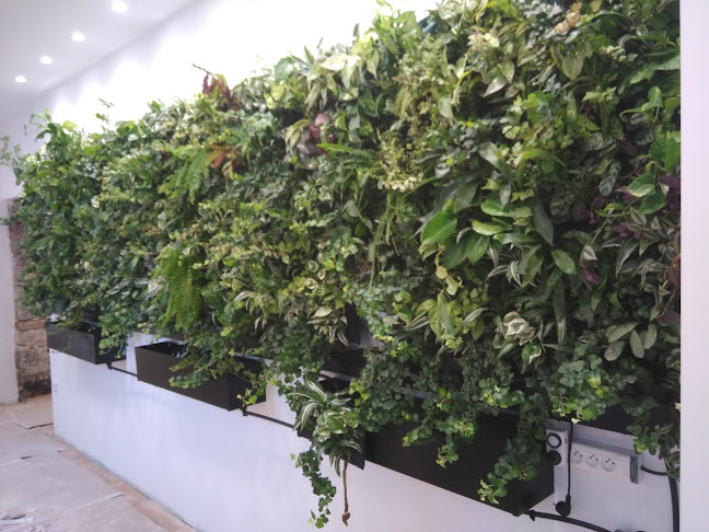 vertiwall, mur végétal design