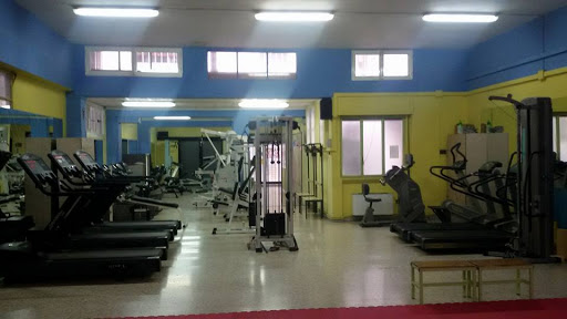 Palestra Acido Lattico Logo