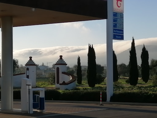 Grifogas - Visual