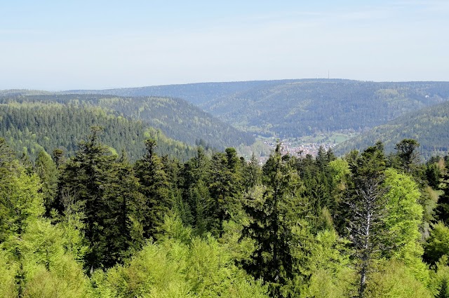 Baumwipfelpfad Schwarzwald