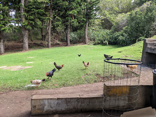 Keokea Park - Thumbnail