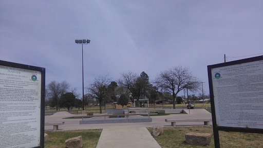 Plainview Skatepark - Visual