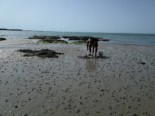 Photo n°18 de Palvadeau Freddy Vers les Iles à La Barre-de-Monts (Magasin d'appâts de pêche)