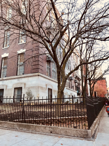 PS8 The Emily Warren Roebling School - Thumbnail