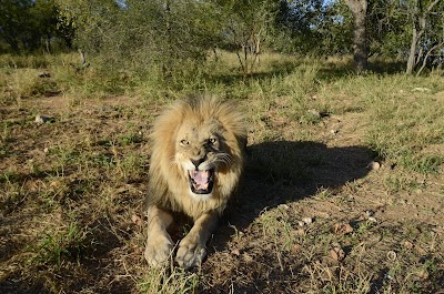Photos of Lower Sabie