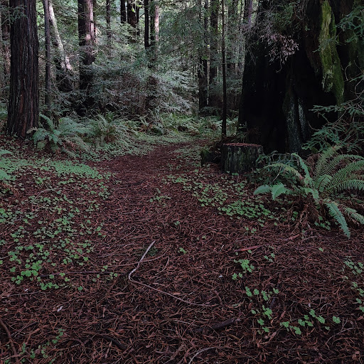 Willow Creek Environmental Campground - Thumbnail