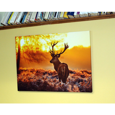 Appenninostampa.it Gallery - Italy
