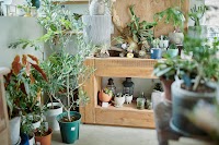 Hachi green and garden