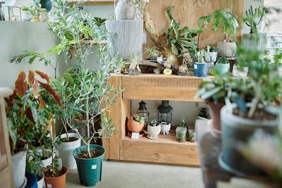 Hachi green and garden