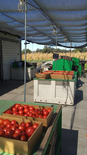 Tierra Vegetables