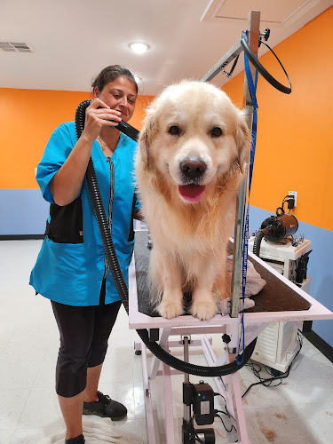 Blue Bubbles Spa Profile Image