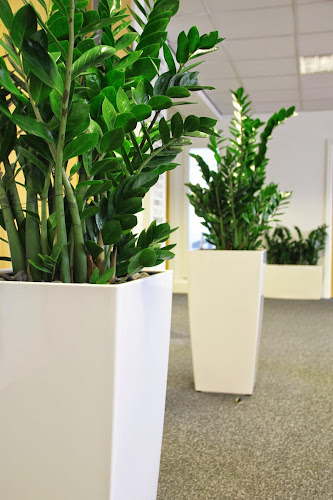 Inleaf • Office Plants & Living Walls Open Times