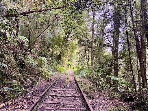 Charming Creek Walkway (Seddonville Trail Head)