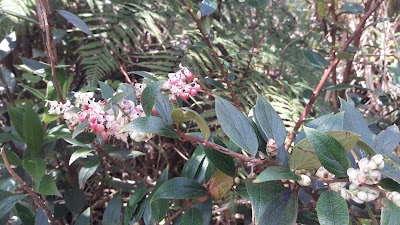 Photos of Juan Castro Blanco National Park