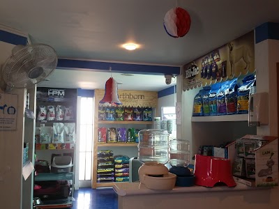 Photos of Cl&iacute;nica Veterinaria All Medical Vet
