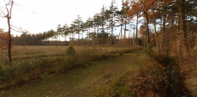 http://www.bivakzone.be/stropersbos.html