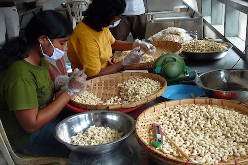 Grosir Kacang Mete Sulawesi, Author: Grosir Kacang Mete Sulawesi