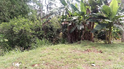 Photos of Bar Cacique
