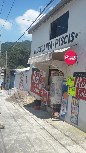Miscelanea Piscis - Visual