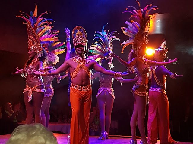 Brasil Tropical